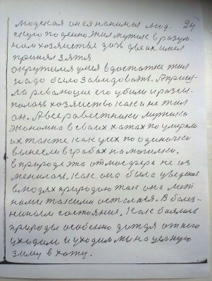 IMAG0127.jpg