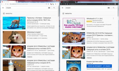 кошки.jpg (564.02 КБ) 16027 просмотров кошки.jpg