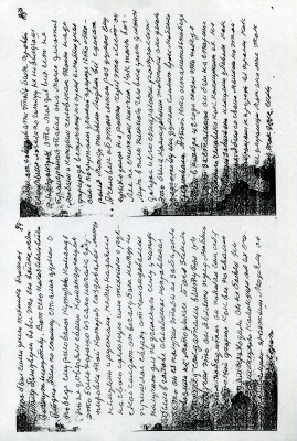 img029.jpg