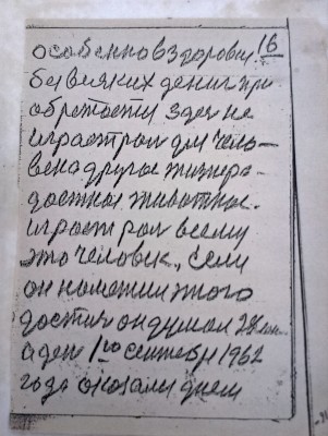 2015-05-13 19.50.30.jpg