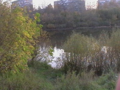 IMGA0177.JPG