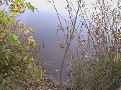 IMGA0179.JPG